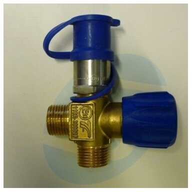 AT04 CNG filling valve NGV1