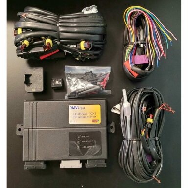 ECU OMVL 10 cil