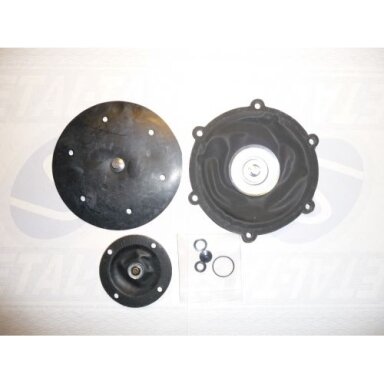 Repair kit Aldesa