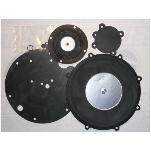 Repair kit Stefanelli R95P